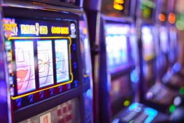 halobet login Shio Table live dealer interface on mobile phone